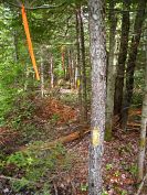 NB-410. 7.105 ha, Bartibog Bridge, New Brunswick Property Photo
